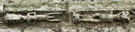 Click to enlarge this photo by Joel Jalladeau